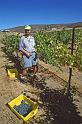 1996-10 Harvest at Tapteil 06